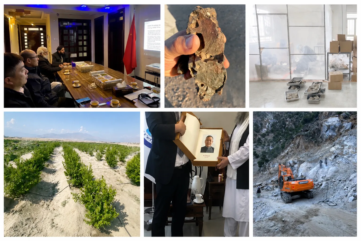 Business & Investment Visits