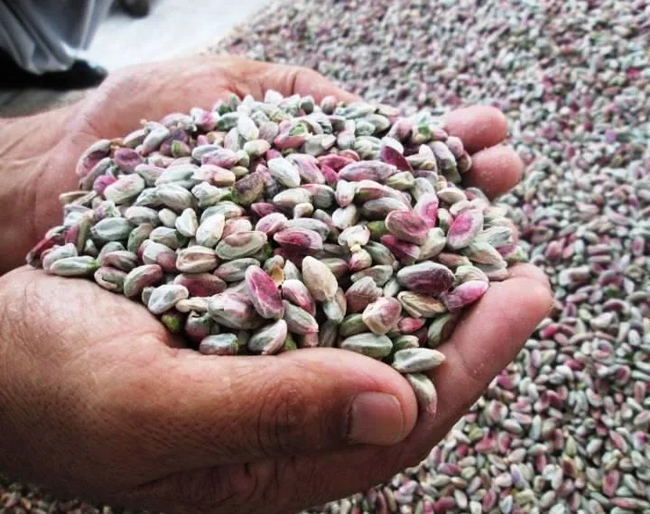 Pistachios